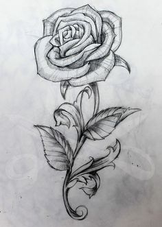 236x331 Are You Looking For A Tutorial On How To Draw A Rose Look No - Rose Picture Drawing