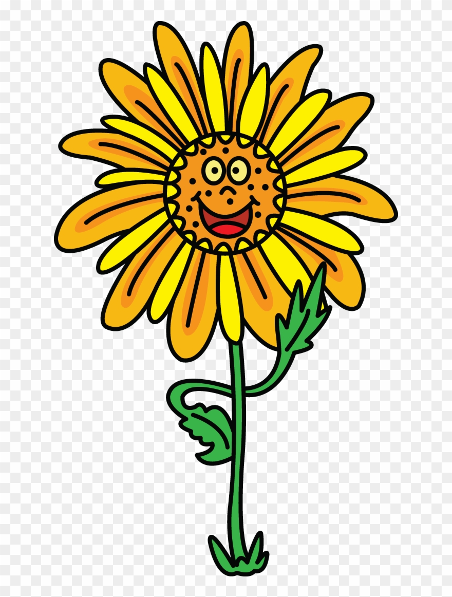 880x1162 How To Draw Flowers, How To Draw A Rose, Plants, Step - Rose Plant Drawing