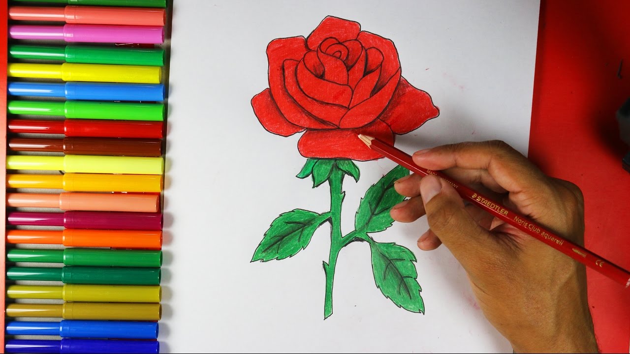 1280x720 How To Draw A Rose Easy - Rose Plant Drawing