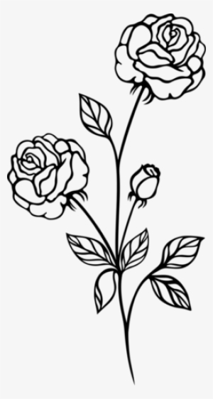 300x562 rose plant png, transparent rose plant png image free download - Rose Plant Drawing