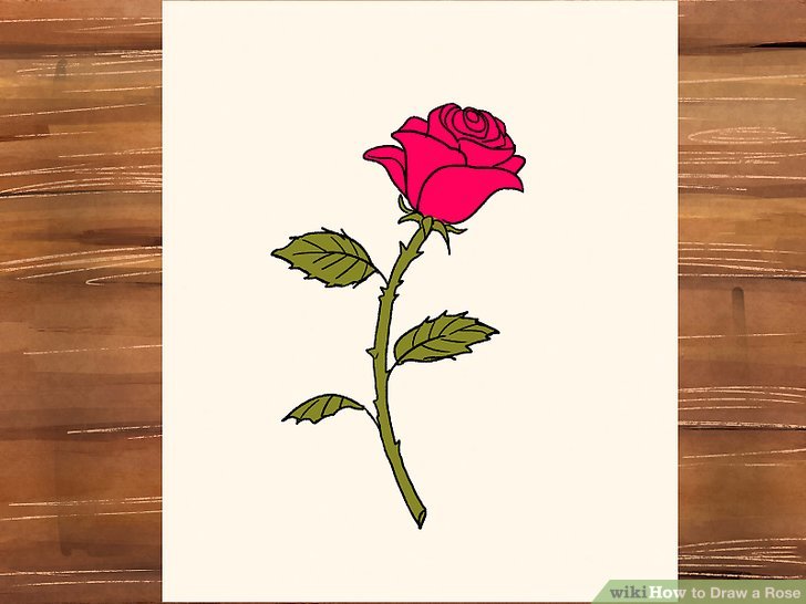 728x546 Ways To Draw A Rose - Rose Plant Drawing