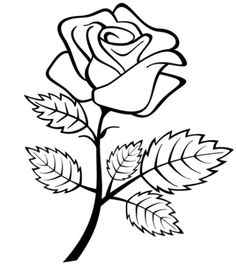 236x280 Best Stencils Roses Images Pencil Drawings, Rose Drawings - Rose Plant Drawing