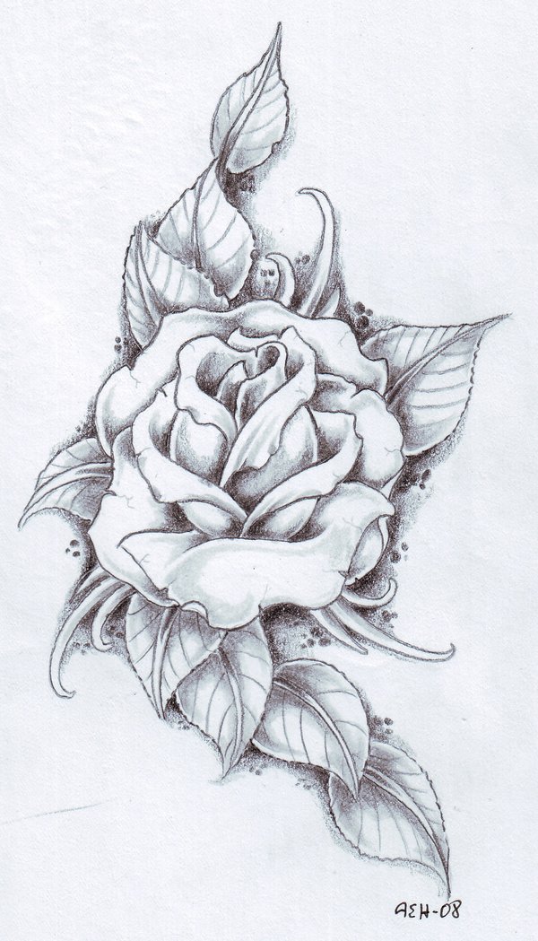 Rose Tattoo Drawing At Paintingvalley Com Explore Collection Of