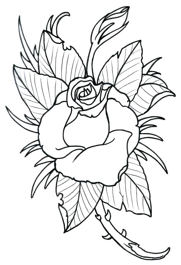 Rose Tattoo Drawing Designs at PaintingValley.com | Explore collection ...