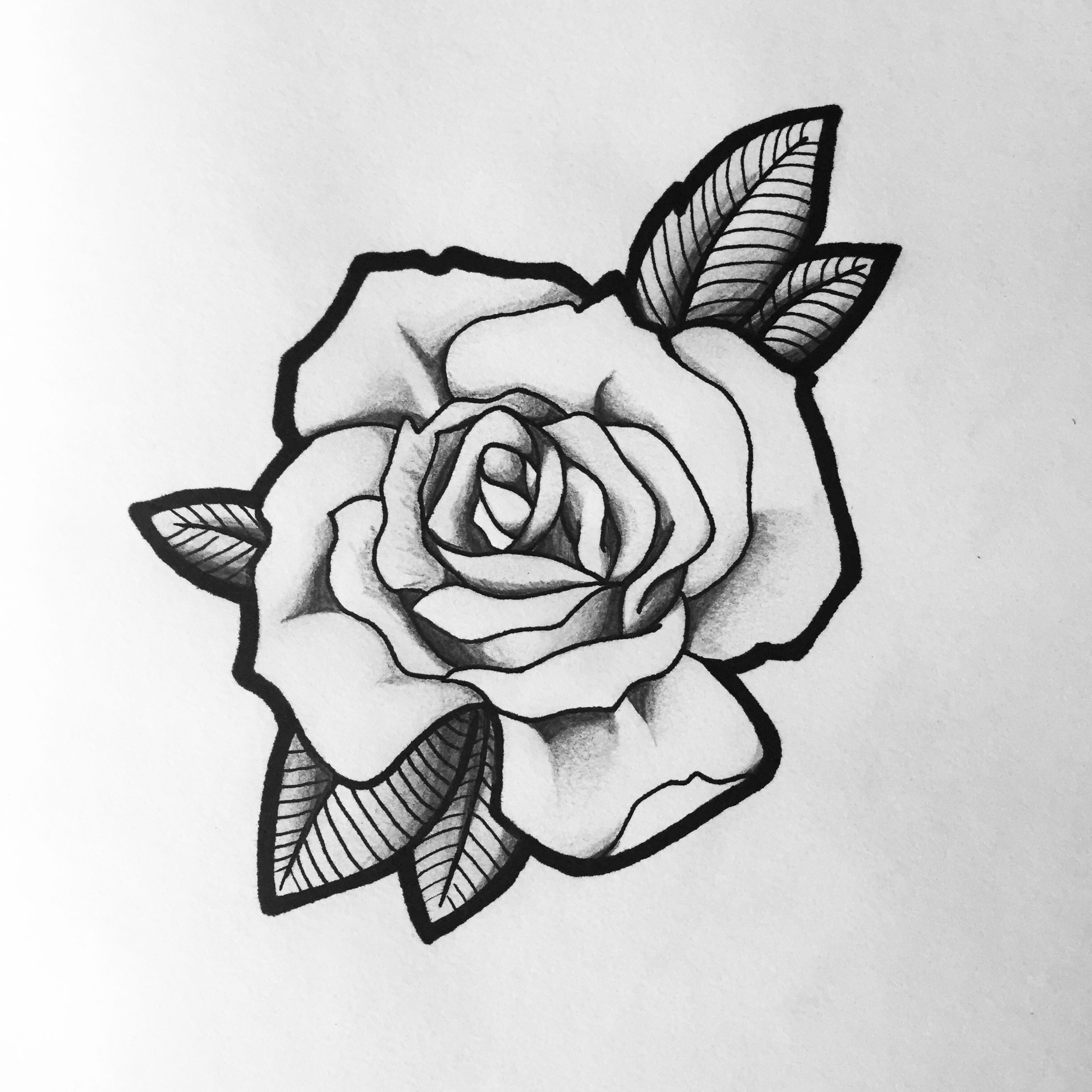 rose drawing sketch