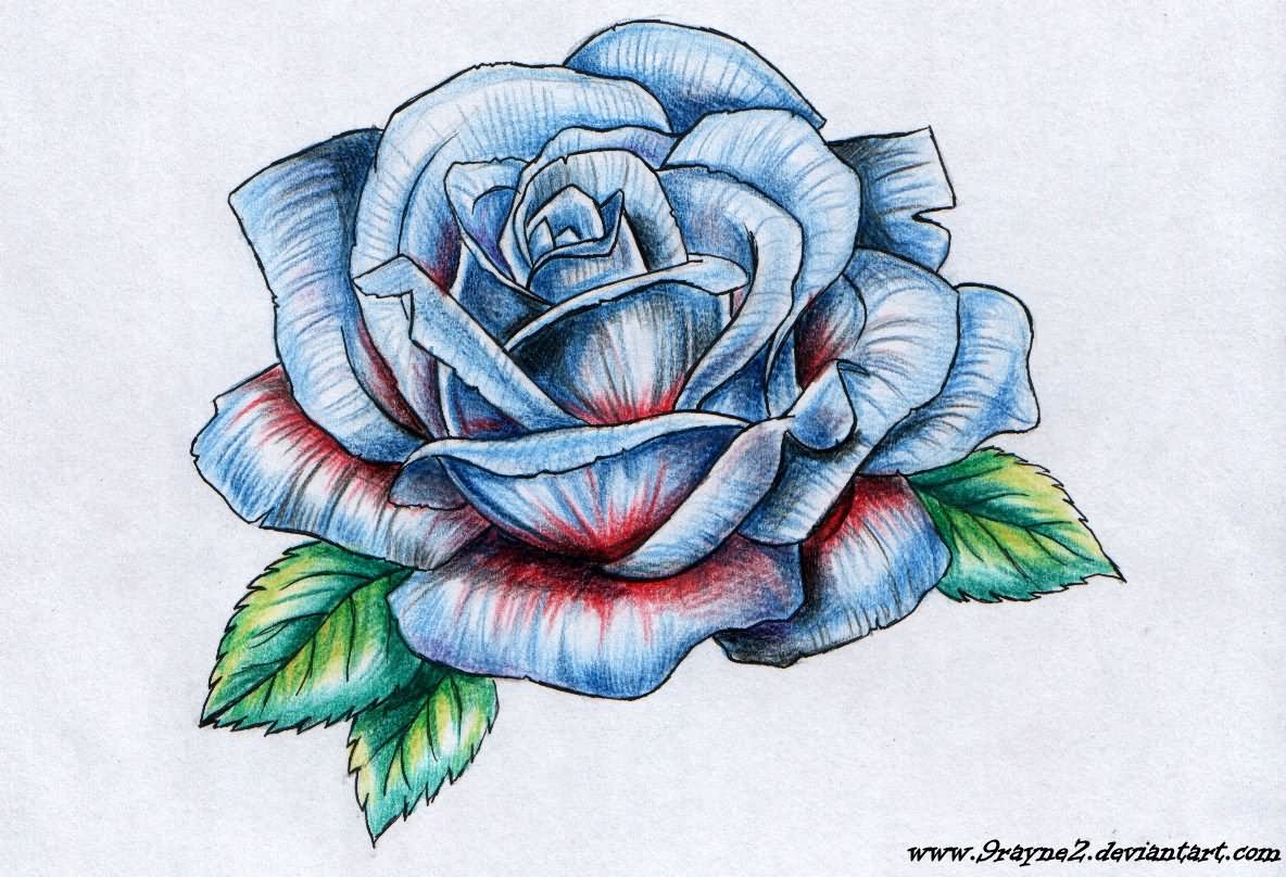 Голубая роза эскиз