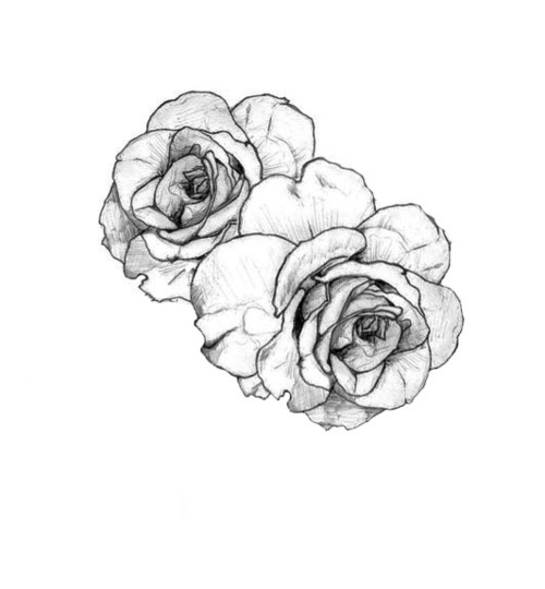 500x540 Tattoo Roses Tumblr Discovered - Rose Tattoo Drawing Tumblr