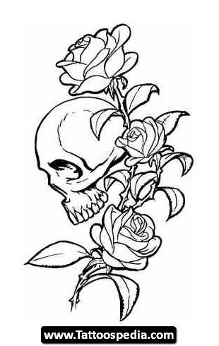 310x490 Gallery Drawings Of Roses And Vines - Rose Vine Drawing