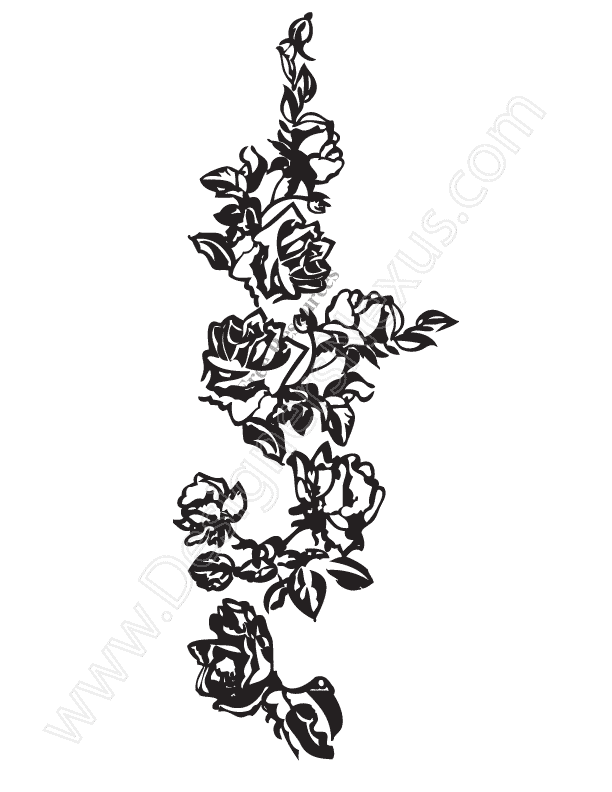 Rose Vine Drawing at Explore collection of Rose