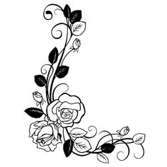 236x236 huge collection of 'rose vine drawing' download more than - Rose Vine Drawing