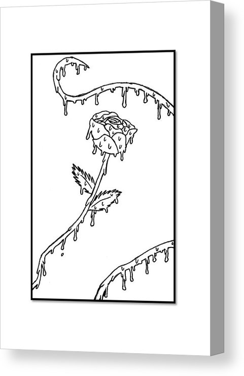 481x740 melting rose vine canvas print canvas art - Rose Vine Drawing