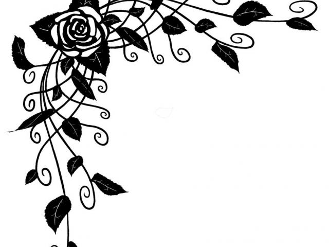640x480 rose vine drawings - Rose Vine Drawing