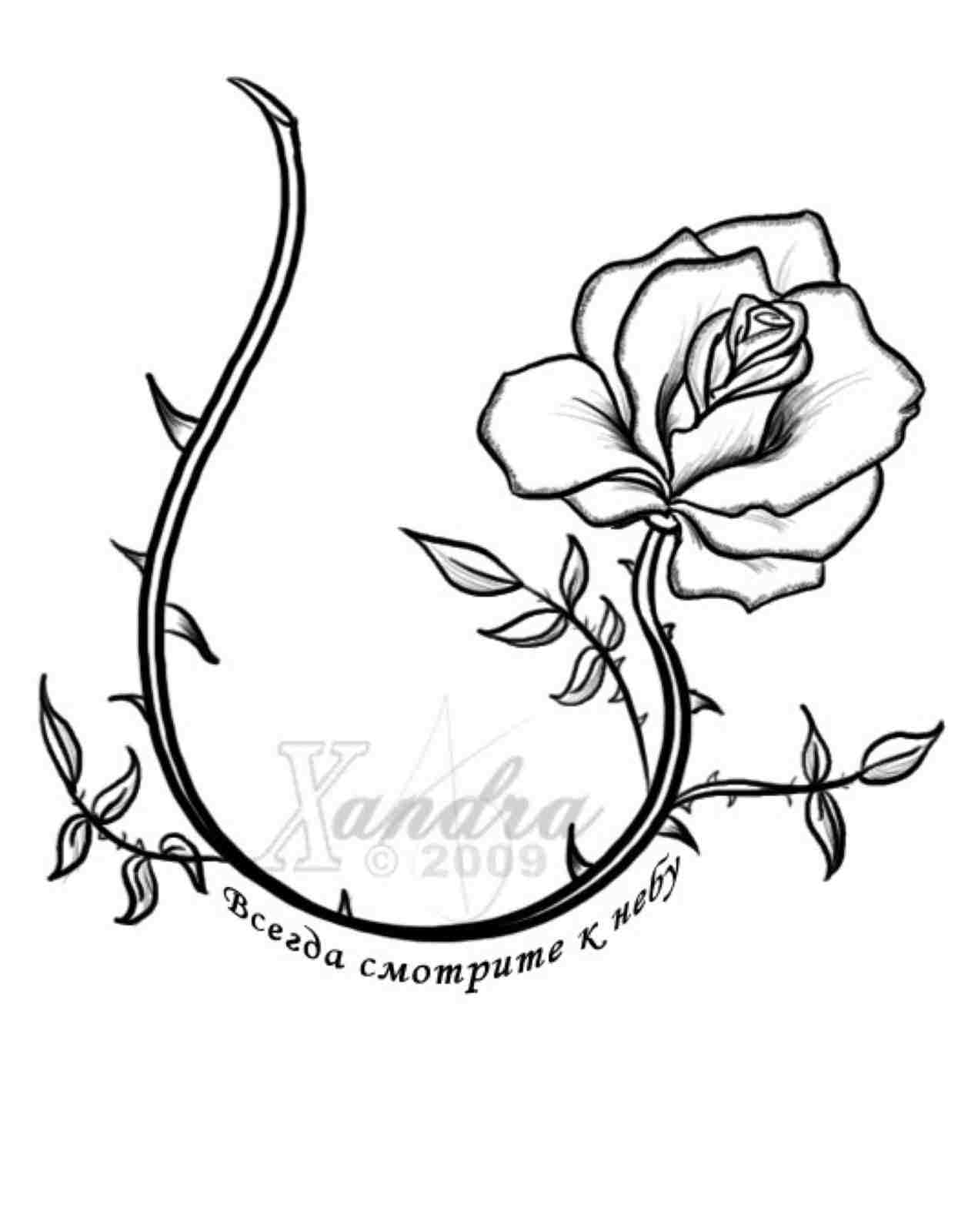 1258x1600 Simple Rose Vine Drawings - Rose Vine Drawing