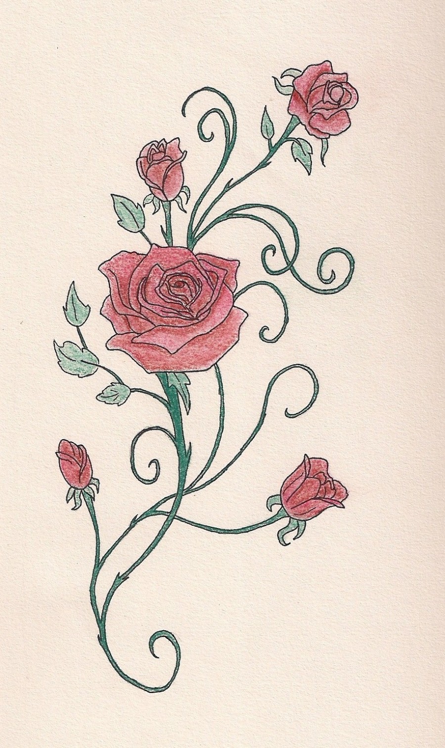 900x1511 collection of rose vine drawing high quality free cliparts - Rose Vine Drawing