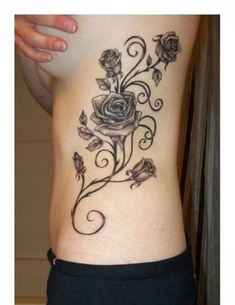 464x600 Rose Vine Drawing Designs - Rose Vine Drawing Designs