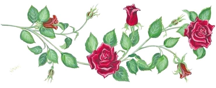740x301 rose vines drawings roses on a vine tattoo designs nice rose vines - Rose Vine Drawing Designs