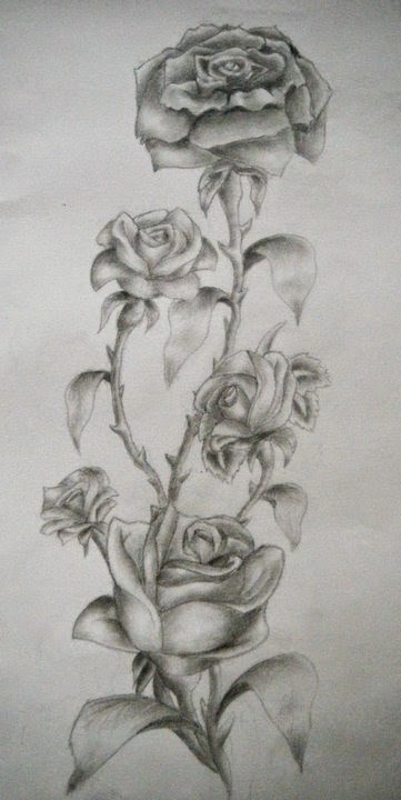 361x720 Tattoo In Gallery Rose Vine Tattoos Designs - Rose Vine Drawing Designs