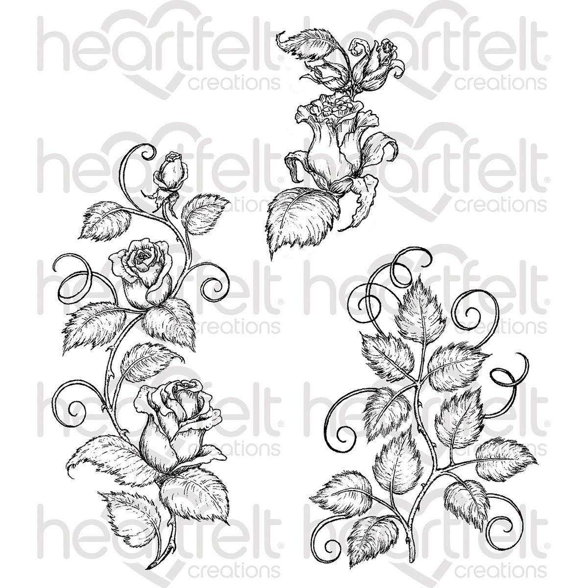 Rose Vine Drawing Designs at Explore collection of