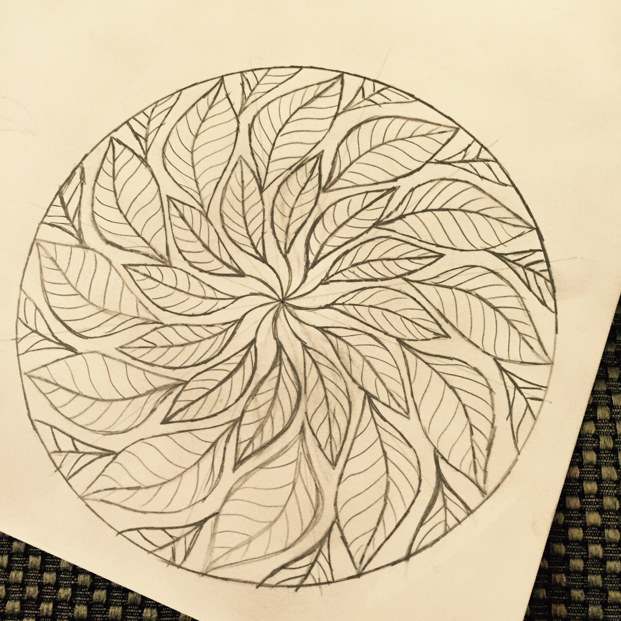 1280x1280 rose window amy valuck - Rose Window Drawing