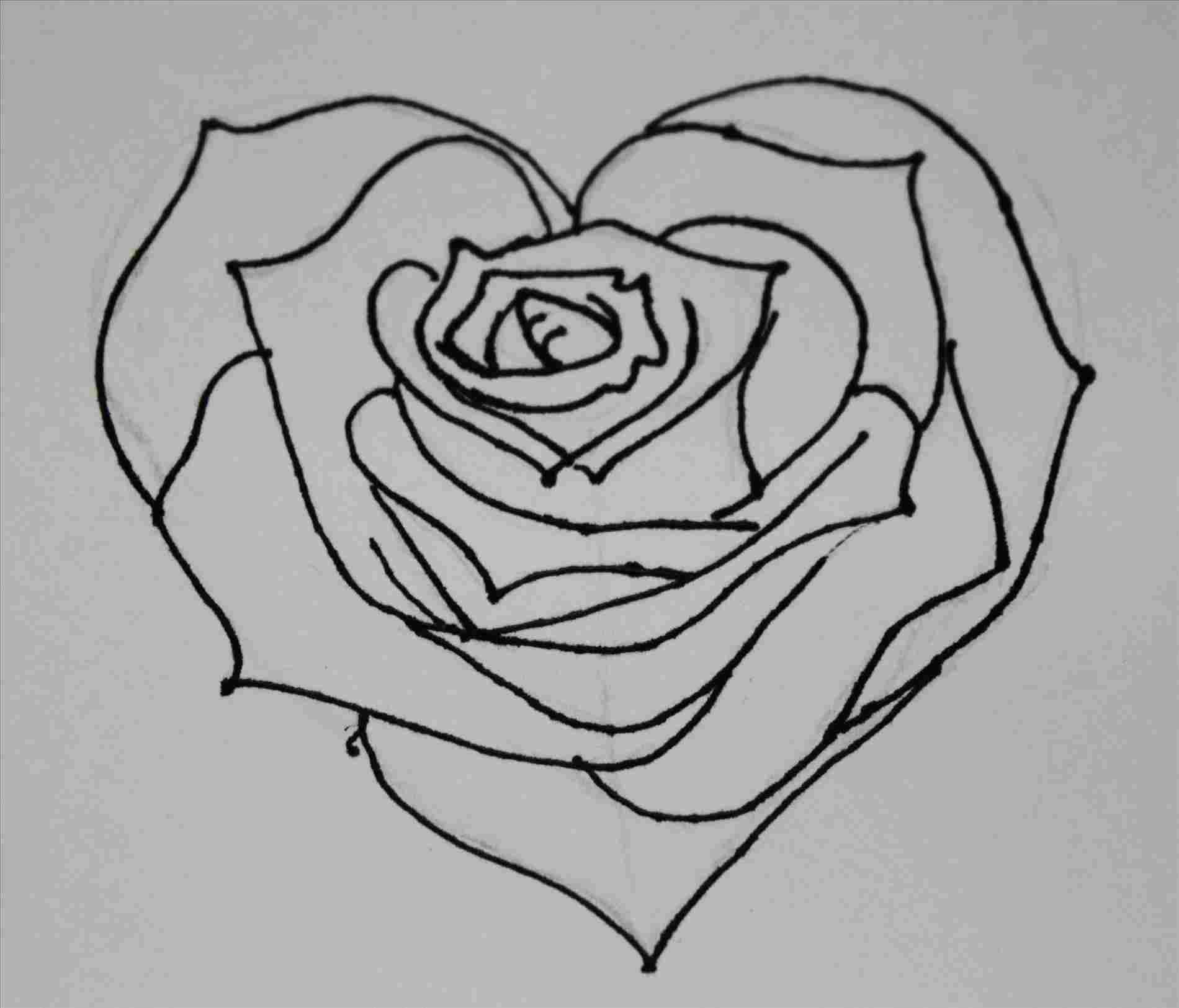 1900x1625 Heart Drawings With Roses Step - Rose With Heart Drawing