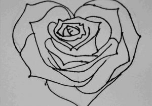 300x210 heart rose sketch easy rose stepstep with a heart drawing - Rose With Heart Drawing