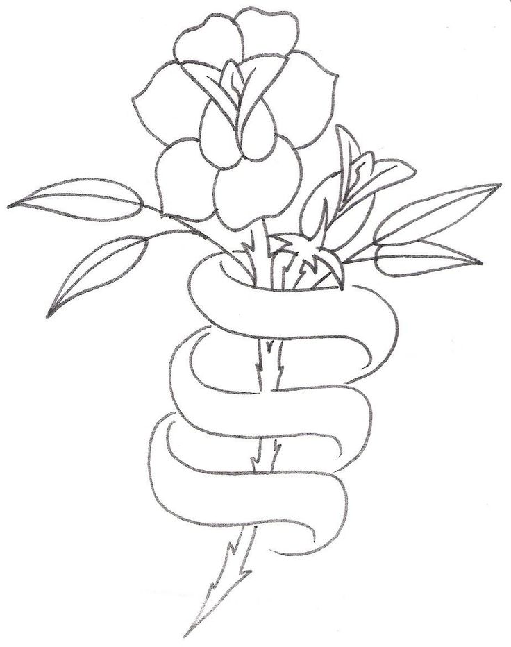 736x932 Rose Ribbon Tattoo Designs - Rose With Ribbon Drawing