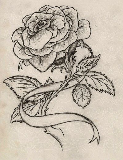 Rose With Ribbon Drawing at PaintingValley.com | Explore collection of ...