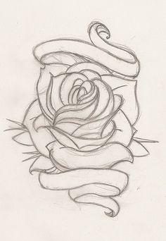 Rose With Ribbon Drawing At Paintingvalley.com 