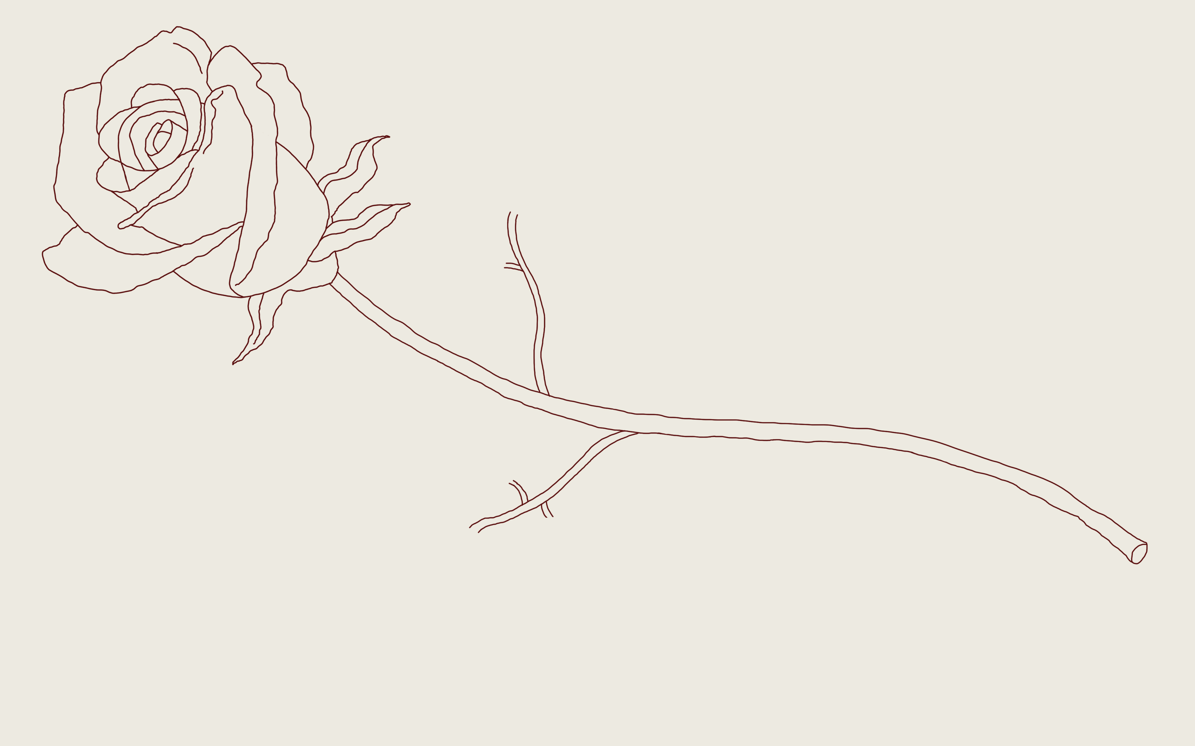4000x2500 How To Draw A Rose A Step - Rose With Stem Drawing