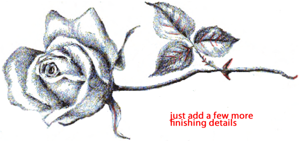 600x283 how to draw long stem roses with easy step - Rose With Stem Drawing