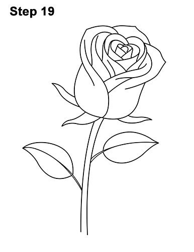 386x500 How To Draw A Rose - Rose With Stem Drawing