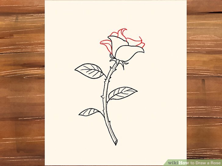 728x546 Ways To Draw A Rose - Rose With Stem Drawing