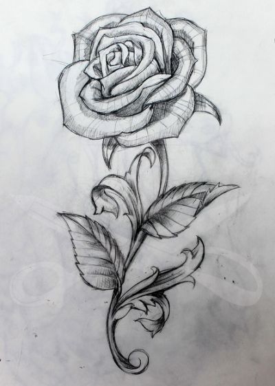 Rose With Stem Drawing at PaintingValley.com | Explore collection of ...