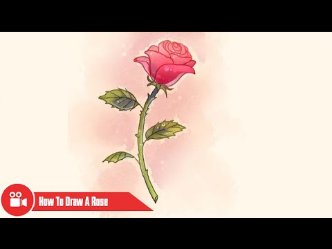 480x360 How To Draw A Rose - Rose With Stem Drawing
