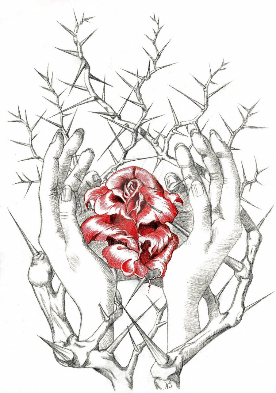 Rose With Thorns Drawing at Explore collection of