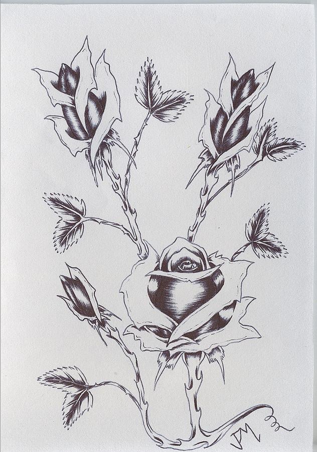 632x900 Thorns And Roses Drawing - Rose With Thorns Drawing