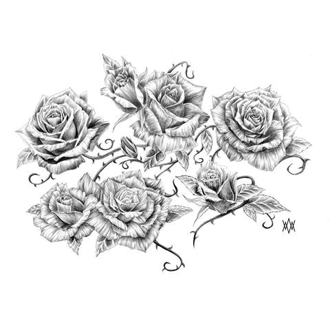 Rose With Thorns Drawing at PaintingValley.com | Explore collection of ...