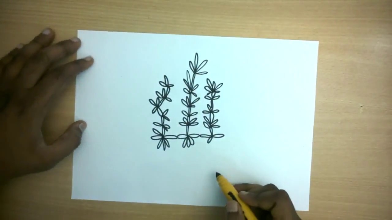 1280x720 how to draw a rosemary easy step - Rosemary Drawing