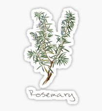 210x230 rosemary drawing stickers redbubble - Rosemary Drawing