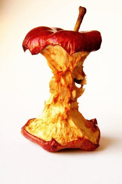 400x600 Rotten Apple Core - Rotten Apple Drawing