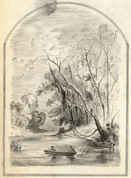 442x600 rowboat in a wooded alcove - Row Boat Drawing