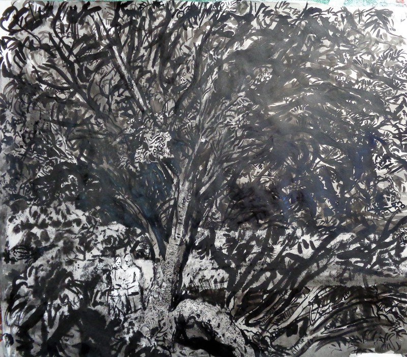 800x702 artwork - Rowan Tree Drawing