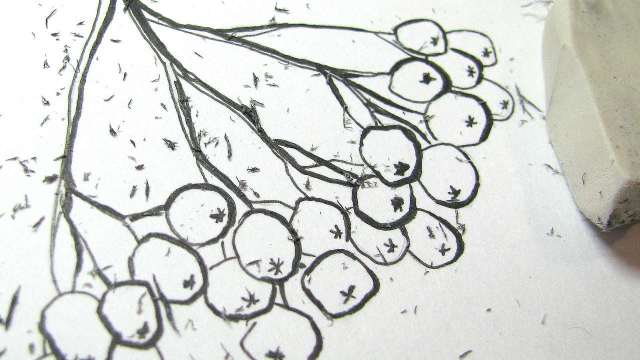 1280x720 how to draw rowan berries using a black pen - Rowan Tree Drawing