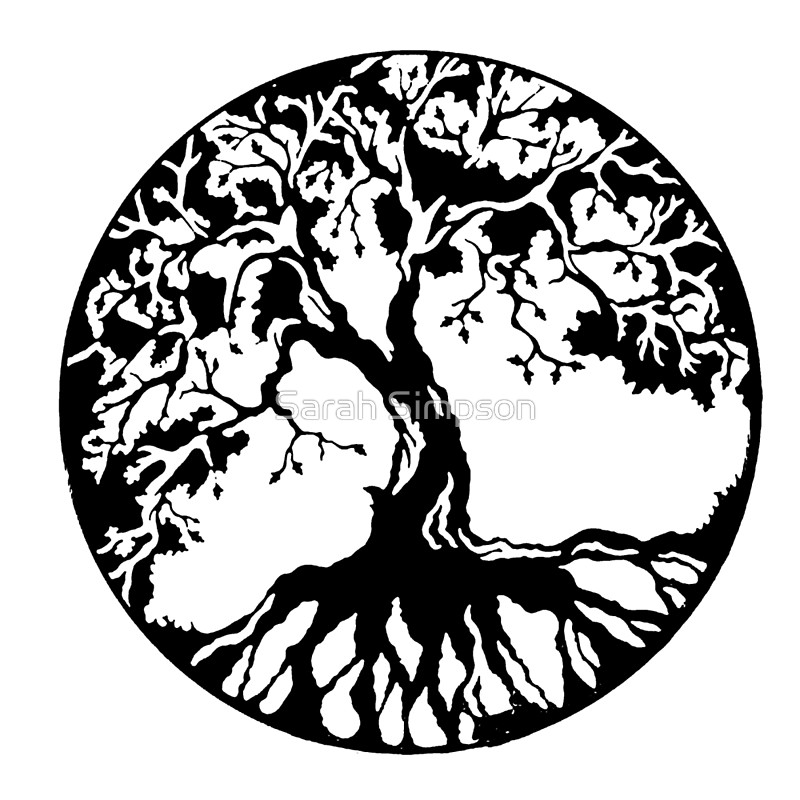 800x800 rowan tree drawing at com free for personal us on awesome tree - Rowan Tree Drawing