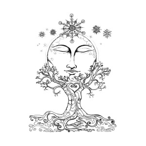 300x300 snow moon and rowan tree photograph - Rowan Tree Drawing