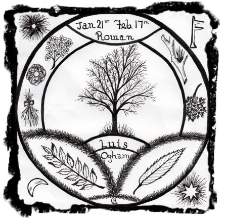 445x435 the ogham trees and their magic - Rowan Tree Drawing