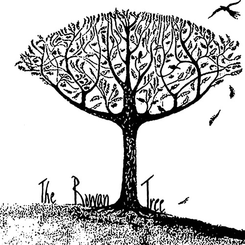 500x500 the rowan tree free listening on soundcloud - Rowan Tree Drawing