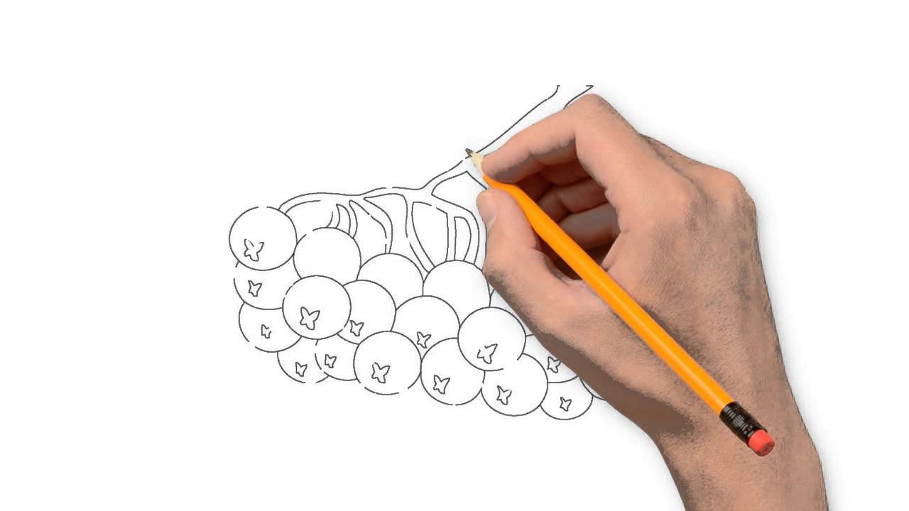 1280x720 the leaf of the rowan nature pencil to draw step - Rowan Tree Drawing