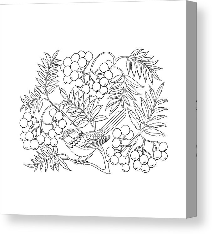 678x750 art rowan tree isolated over white canvas print canvas art - Rowan Tree Drawing