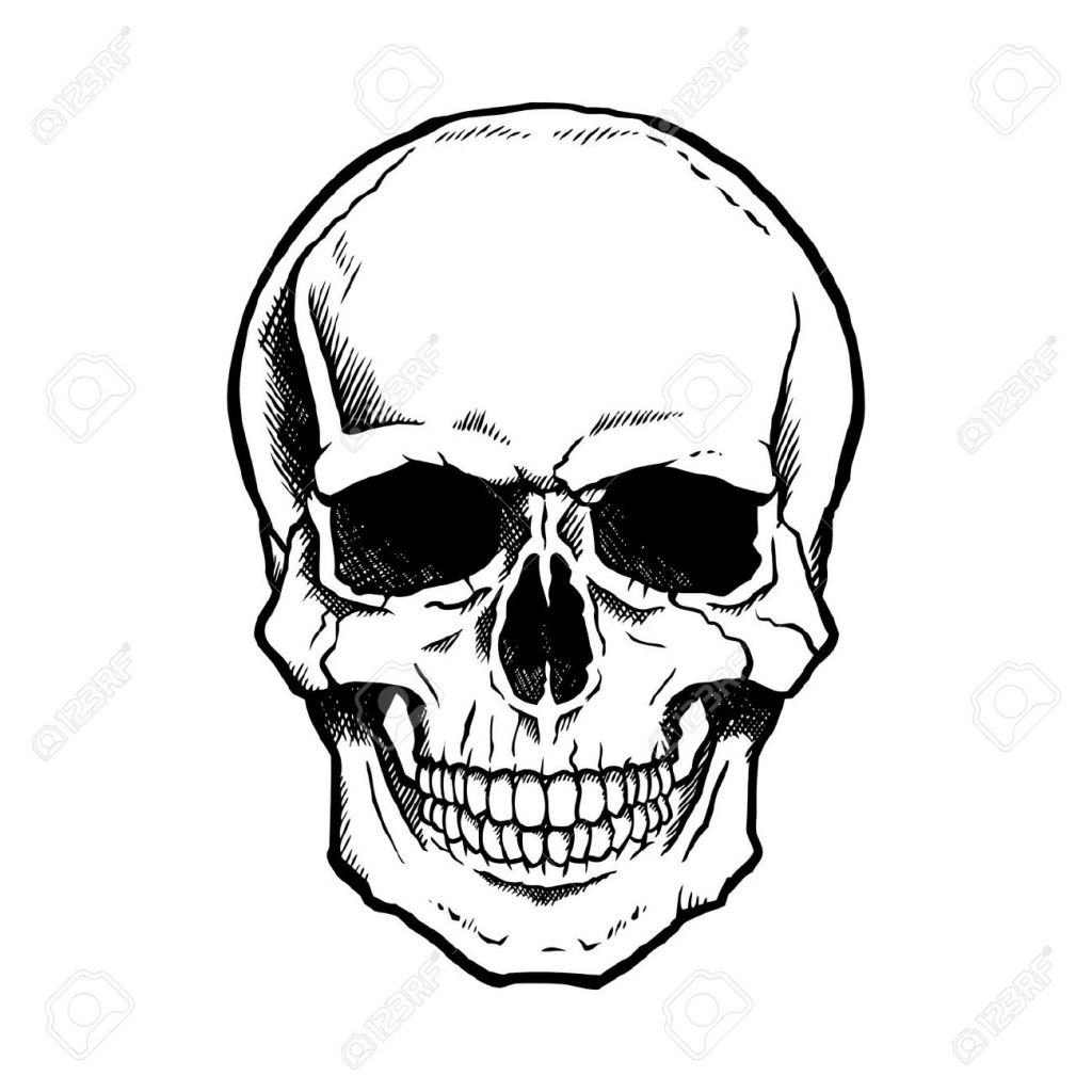 1024x1024 Simple Skull Drawing Drawings Evil Images Stock Pictures Royalty - Royalty Free Drawings